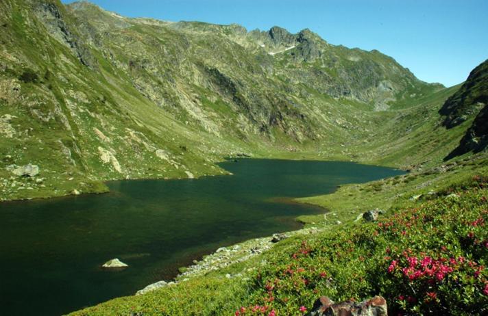 Apartaments Sort Pirineus Dış mekan fotoğraf