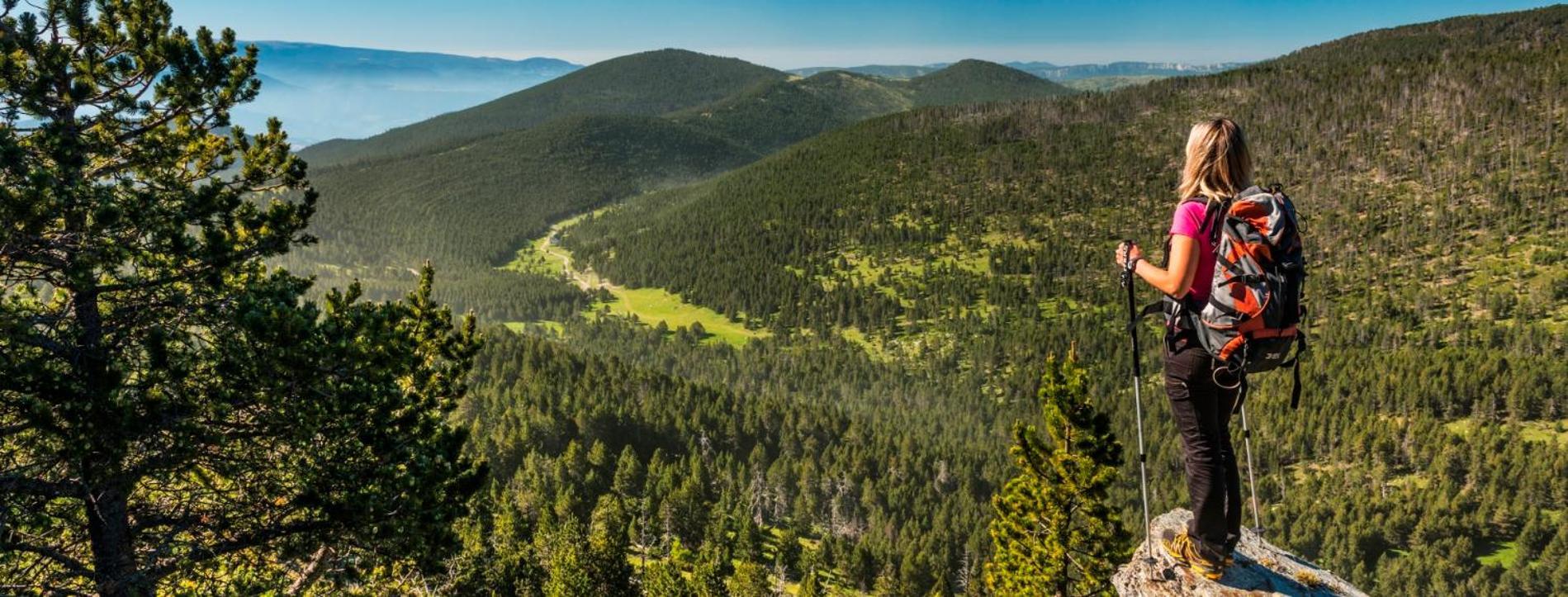 Apartaments Sort Pirineus Dış mekan fotoğraf