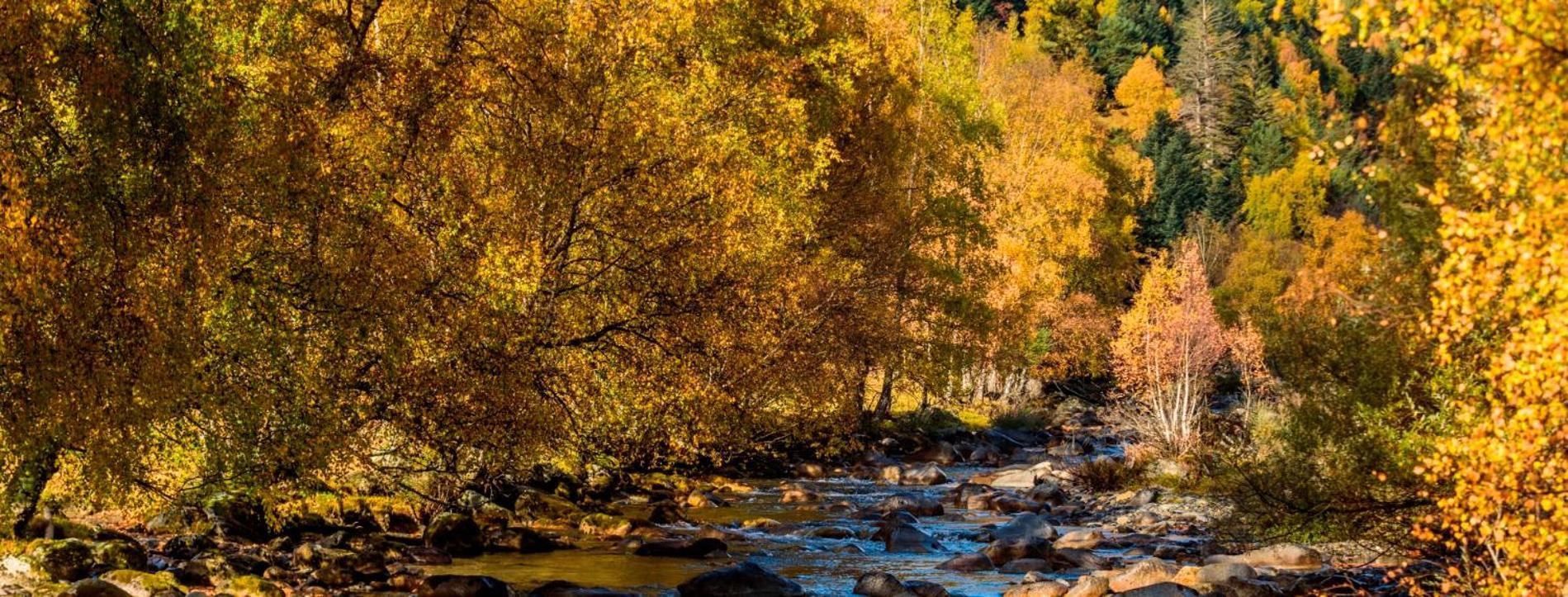 Apartaments Sort Pirineus Dış mekan fotoğraf