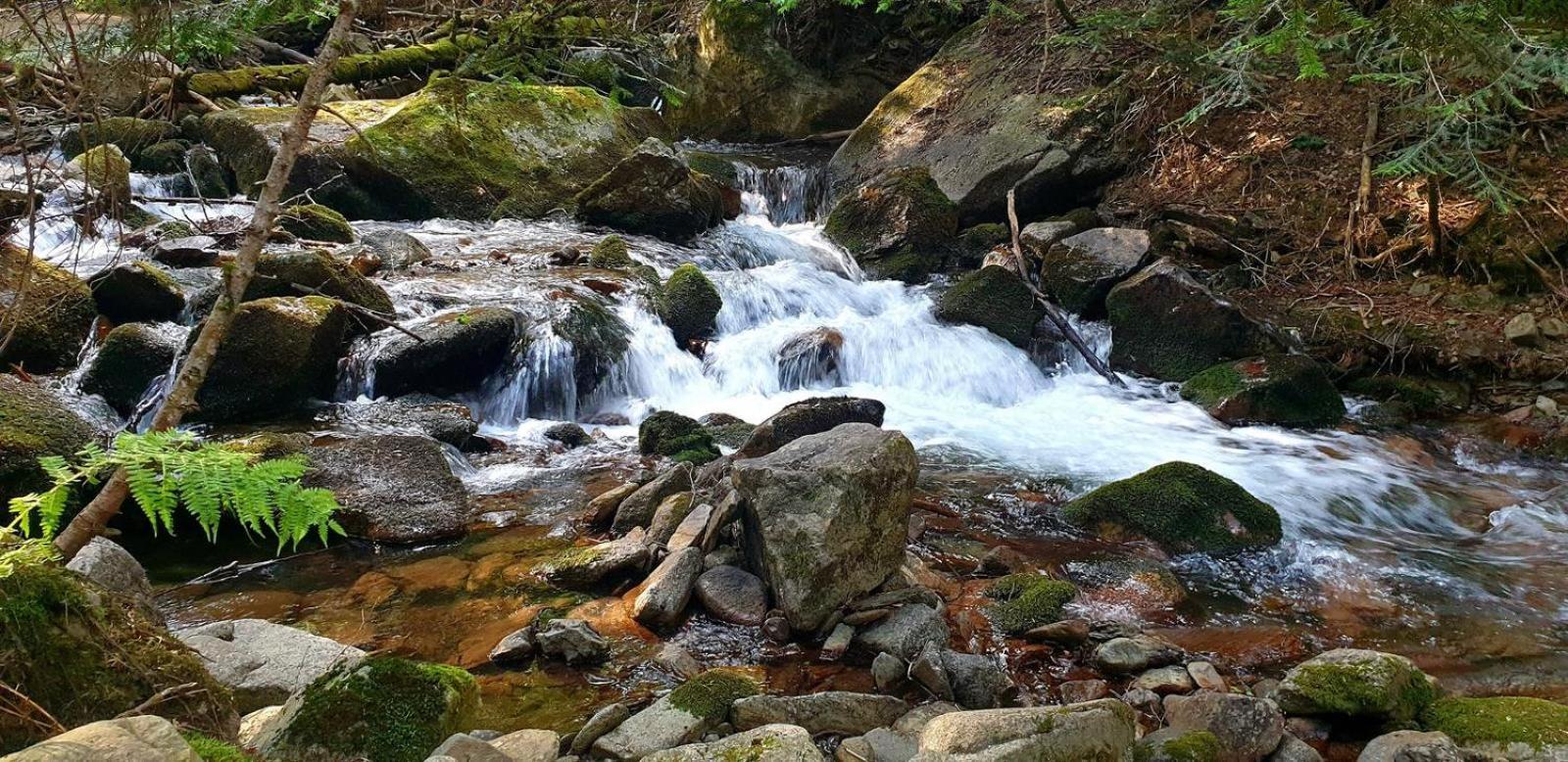 Apartaments Sort Pirineus Dış mekan fotoğraf
